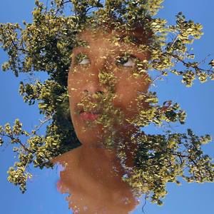 Meet your Posher, Danh